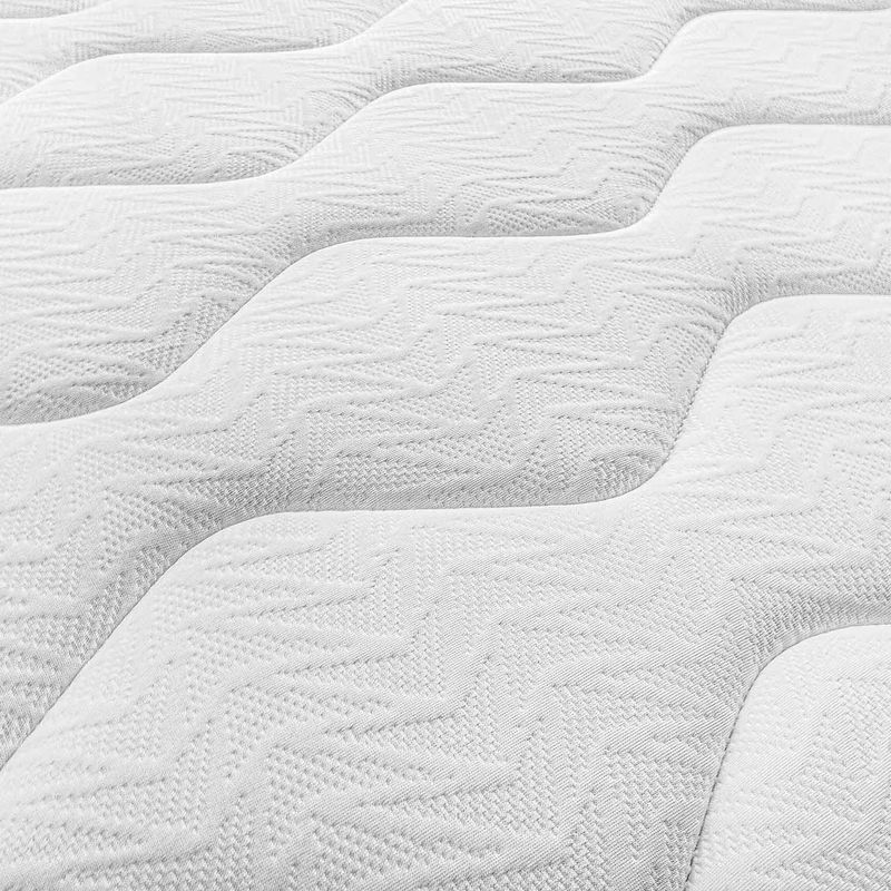 PALADIO-DETALLE