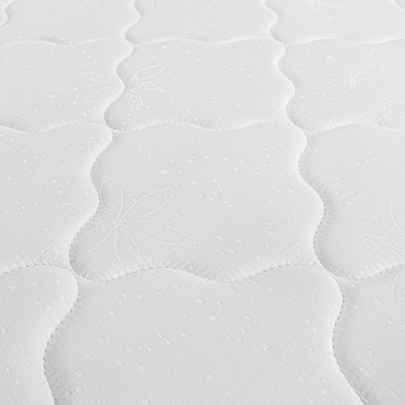 IGNEO-DETALLE