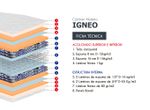 IGNEO