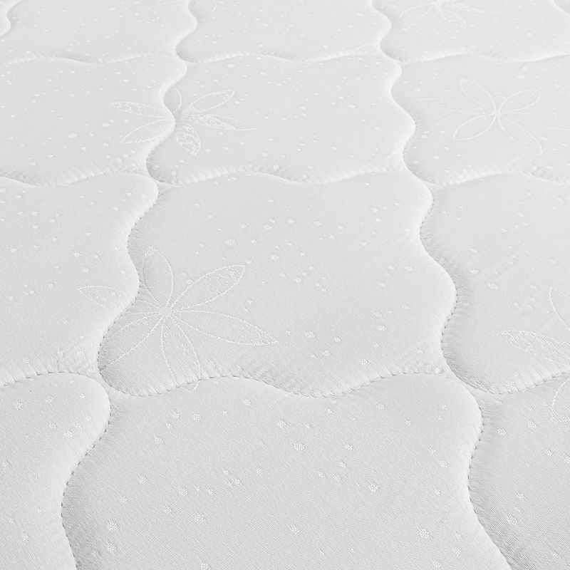IGNEO-DETALLE