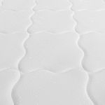 IGNEO-DETALLE