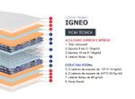 IGNEO-IMAGEN-EXTRA_Mesa-de-trabajo-1-copia-10