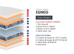 IGNEO