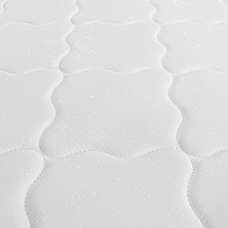 IGNEO-DETALLE