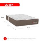 PRIME-QUEEN-11