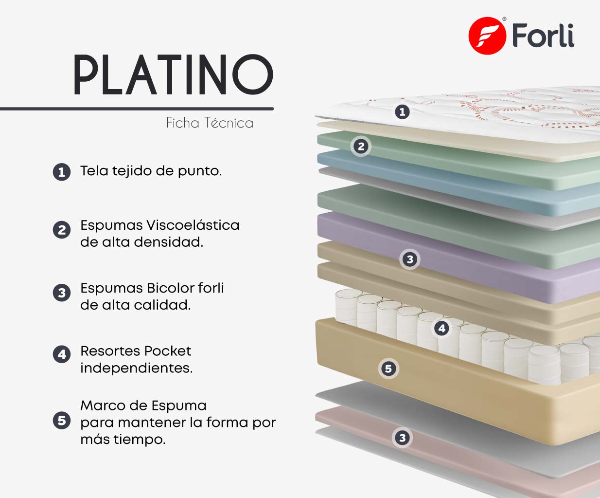 PLATINO-FICHA