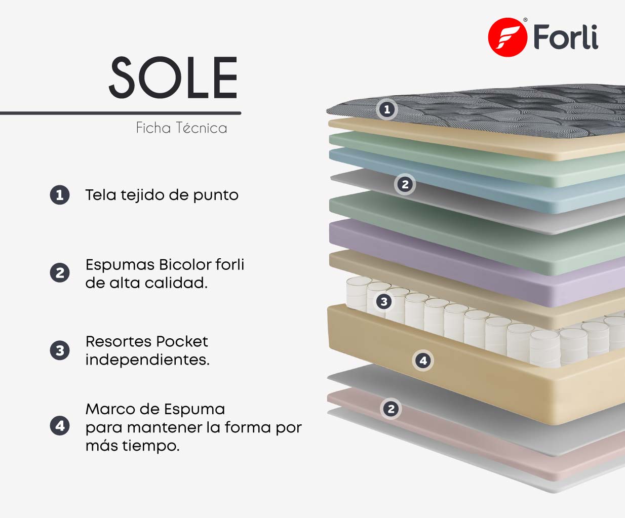 FICHA-SOLE